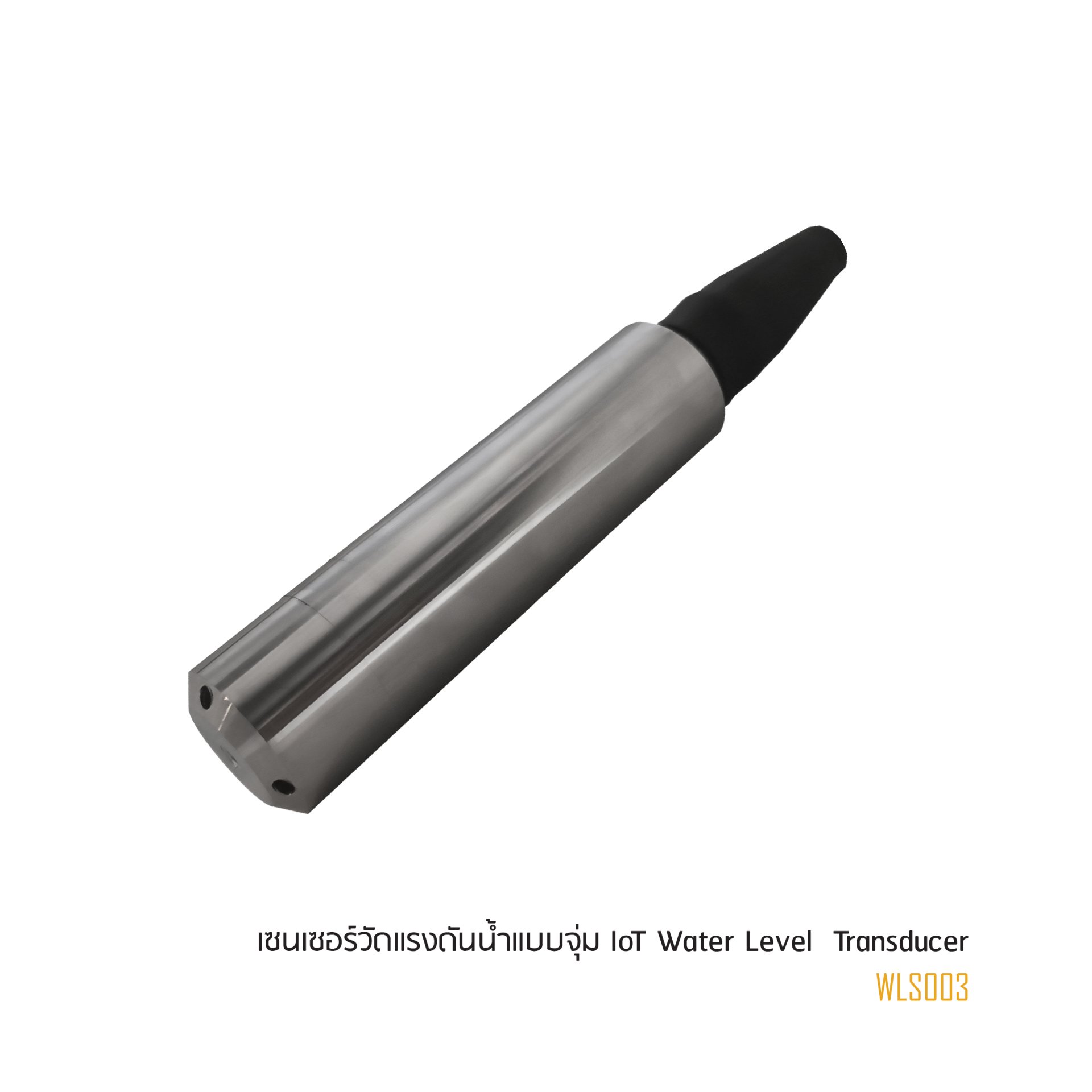 เซนเซอร์วัดระดับน้ำแบบจุ่ม IoT Water Level  Transducer สายยาว 3 เมตร