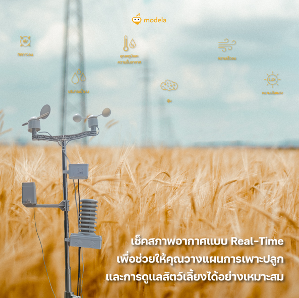 SET Station 12 in 1 + Adapter  (ไม่มีเสาตั้ง)**